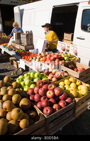 Washington DC USA Takoma Park Farmers Market apple venditore foto copyright Lee Foster Foto 26 washdc75359 Foto Stock