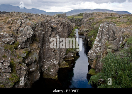 Thingvellir, rift geografica tra Europa e America del Nord, Islanda Foto Stock