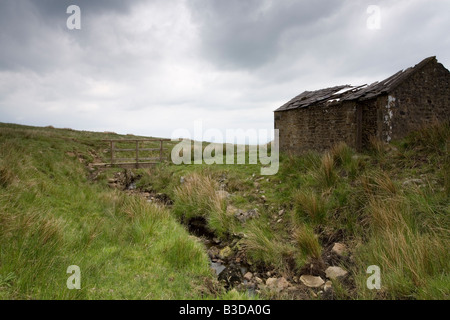 Un solitario remoto fienile abbandonati su Scosthorpe Moor vicino Kirkby Malham nel North Riding dello Yorkshire Foto Stock