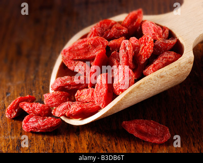 Goji Berry - alti livelli di beta-carotene e tutti gli 8 amminoacidi essenziali Foto Stock