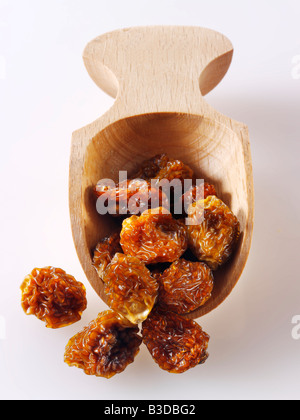 Bacca inca - noto anche come Cape Gooseberry, agauaymanto bacche o Goldenberries. fonte di vitamina P e bioflavinoids Foto Stock