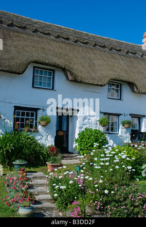 Cottage in Coverack Cornwall Inghilterra REGNO UNITO Foto Stock