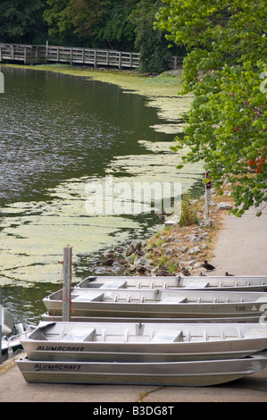 Imbarcazioni a remi impilati lungo il lato di un lago di muschio. Foto Stock