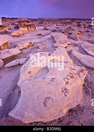 Erose rocce di arenaria fatta di formazione Fruitland sedersi nella città di funghi in Bisti Badlands Foto Stock