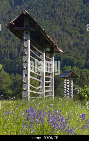 Rack di fieno, Dovje, Slovenia Foto Stock