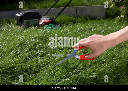 Man mano late teens primi anni venti il taglio dell'erba in un giardino con un paio di forbici con tosaerba a benzina in background Foto Stock