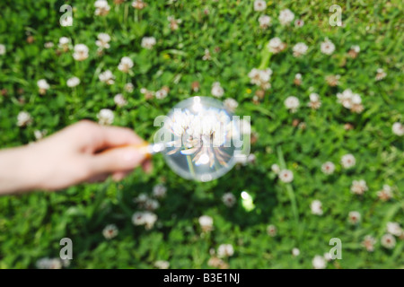 Mano rispettando i fiori con lente di ingrandimento Foto Stock