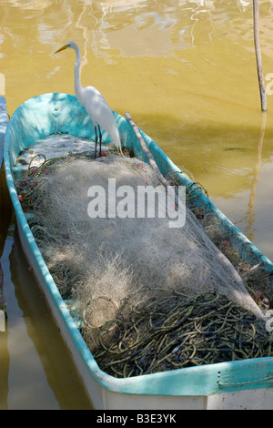 Una gru su una barca in Celestun messico Foto Stock