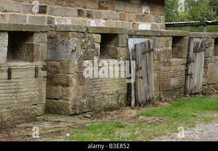 Abbandonato il maiale sty in una fattoria nel Derbyshire, England, Regno Unito Foto Stock