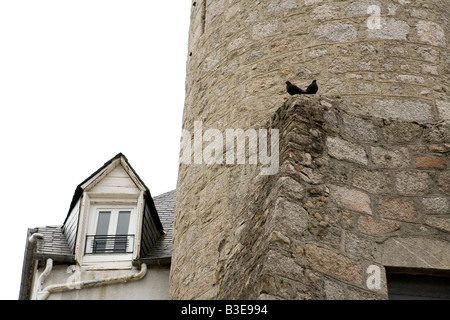 Due piccioni seduto su una sporgenza della torre dell'orologio in Meymac, Francia con Finestra mansarda in distanza Foto Stock