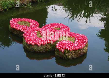 Fiori in mostra al bi annuale festival di Rose Lottum Limburgo, Paesi Bassi Foto Stock