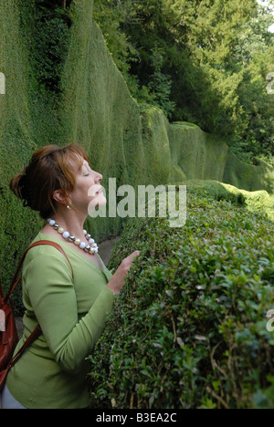 Donna di sbirciare da dietro una siepe alta Foto Stock