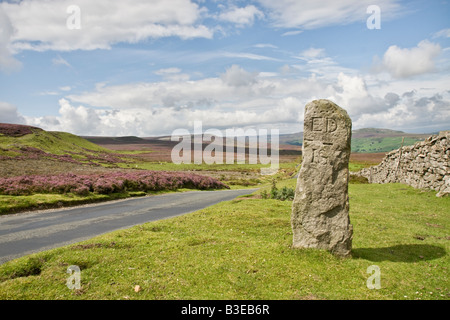 Un vecchio confine pietra su Grinton Moor, Swaledale, North Yorkshire Foto Stock