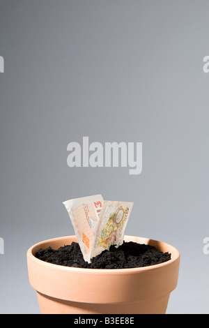 Dieci pound nota crescente dal pot Foto Stock