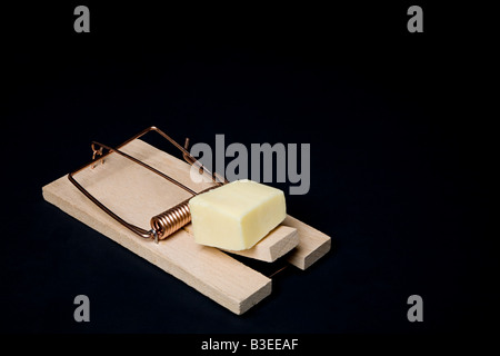 Il formaggio su un mousetrap Foto Stock