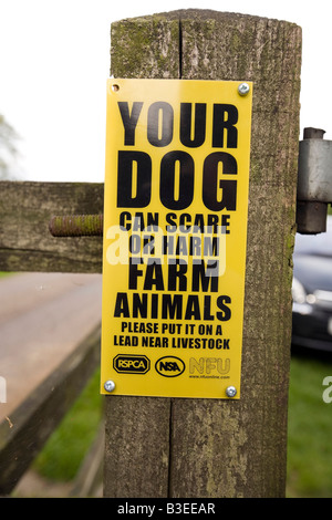 Regno Unito Derbyshire Peak District National Park il vostro cane può spaventare o danneggiare gli animali della fattoria segno di avvertimento Foto Stock