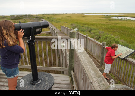 Stati Uniti Virginia Assateague Island salt marsh Tom s Cove visitatori apprendere circa la vita di palude Foto Stock