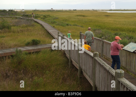 Stati Uniti Virginia Assateague Island salt marsh Tom s Cove visitatori apprendere circa la vita di palude Foto Stock