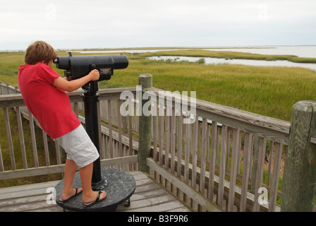 Stati Uniti Virginia Assateague Island salt marsh Tom s Cove visitatori apprendere circa la vita di palude Foto Stock