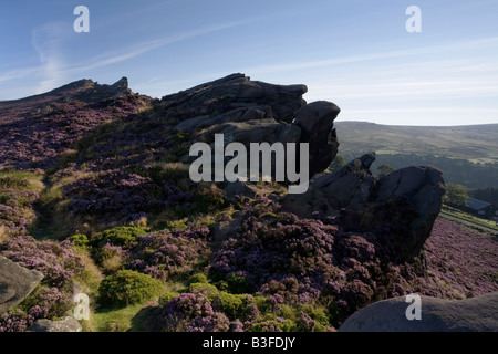 Ramshaw rocce nel Parco Nazionale di Peak District Staffordshire Foto Stock