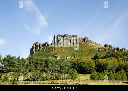 Hen Cloud parte degli scarafaggi affioramento gritstone nel Parco Nazionale di Peak District Staffordshire Foto Stock