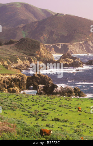 Bixby ponte lungo il Big Sur Coast California Foto Stock