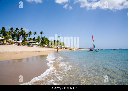 Incredibile Pinneys beach con palme da cocco al Four Seasons hotel in Nevis Caraibi Foto Stock