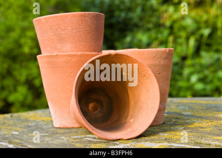 Vasi di terracotta, UK. Foto Stock