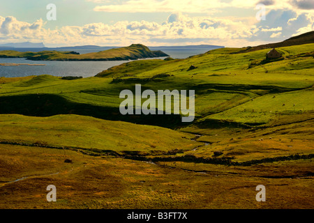 Shetland paesaggi verdi colline con pecore al pascolo e vista verso St Magnus Bay terraferma Isole Shetland Scozia UK Foto Stock