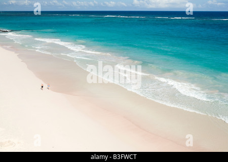 Spiaggia di gru, Barbados Caraibi Foto Stock