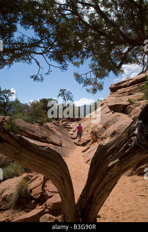 Zion National Park nello Utah Susan Newell escursioni sul Canyon Overlook Trail Foto Stock