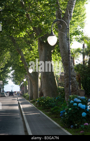 Il Lago di lato e viale alberato che conduce al lago di Bolsena nel Lazio, Italia Foto Stock