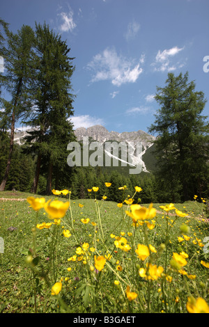 AUT, Austria, Tirolo: Stubaital, la Valle dello Stubai Foto Stock