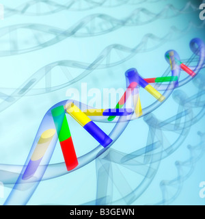 Sequenza del DNA Foto Stock