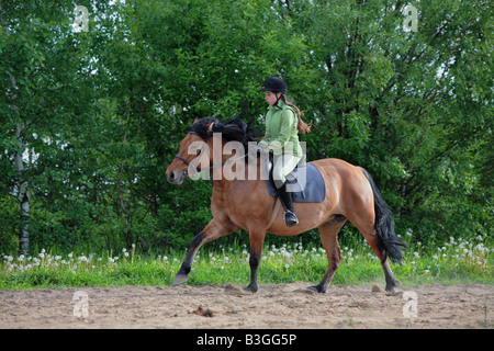 Ragazza ride sulla baia pony Foto Stock