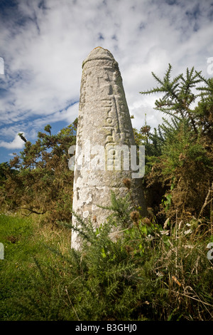 Il Prostlon convertito al cristianesimo stele, a Pen-er-Pont (Bretagna). Stèle christianisée, dite stèle de Prostlon (Morbihan). Foto Stock