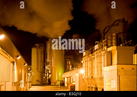 Polpa di Tasmania e cartiera Nelson Nuova Zelanda Foto Stock