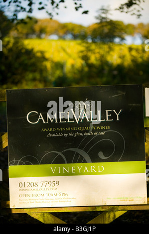 Il Camel Valley Vineyard vicino a Bodmin cornwall UK nel Regno Unito temperature warm up agricoltura è changeing Foto Stock