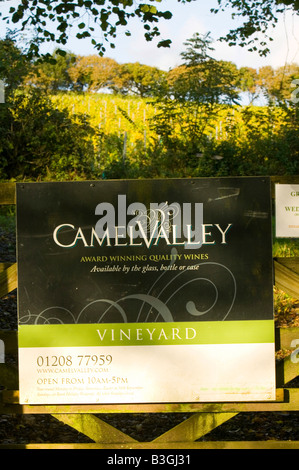 Il Camel Valley Vineyard vicino a Bodmin cornwall UK nel Regno Unito temperature warm up agricoltura è changeing Foto Stock