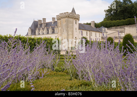 Cespugli di lavanda e nella casella arbusti la musica in giardino, guardando a nord-est verso il castello di Villandry, Valle della Loira, Fr Foto Stock