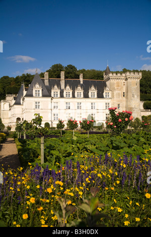 Siepe fiori nel potager (vegetale) giardini del castello di Villandry, Valle della Loira, in Francia nel pomeriggio di sole Foto Stock