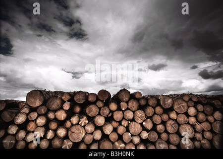 mucchio di registro Foto Stock