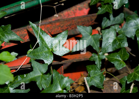 Lame del tosaerba vecchio con il fogliame cresce al di sopra di essa Foto Stock