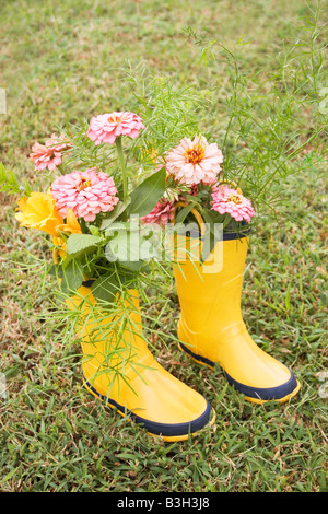 Giallo galoshes riempito di fiori. Spazio di didascalia in alto. Foto Stock