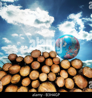 Globo su una pila di tronchi di alberi Foto Stock