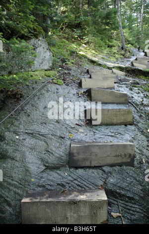 Appalachian Trail Beaver Brook Trail durante i mesi estivi si trova nelle White Mountains del New Hampshire USA Foto Stock