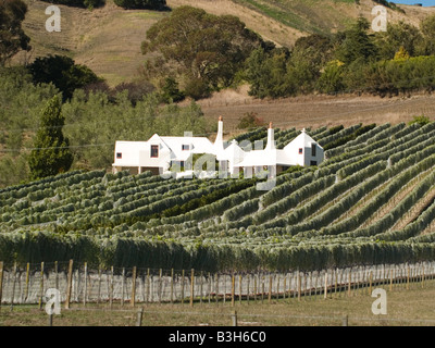 Filari di viti a Te Mata vigna immobiliare Hawkes Bay Nuova Zelanda Foto Stock