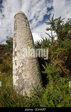 Il Prostlon convertito al cristianesimo stele, a Pen-er-Pont (Bretagna). Stèle christianisée, dite stèle de Prostlon (Morbihan). Foto Stock