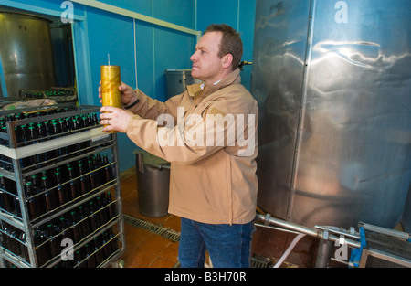 Jim Kenyon proprietario del cane di filatura birreria situato nella parte posteriore del pub Victory in Hereford Inghilterra REGNO UNITO Foto Stock