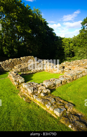 Inghilterra Cumbria Gilsland Poltross Burn Milecastle parte della parete di Adriano Patrimonio mondiale dell UNESCO Foto Stock